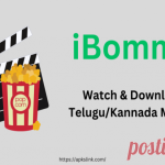Ibomma Hindi Movies Collection: Watch Popular Films in Full HD