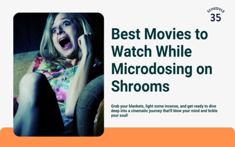 10 Best Animated Movies to Watch While High: A Mind-Bending Collection