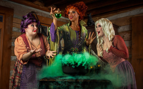 Buy Hocus Pocus Movie Poster – Perfect for Halloween Decor