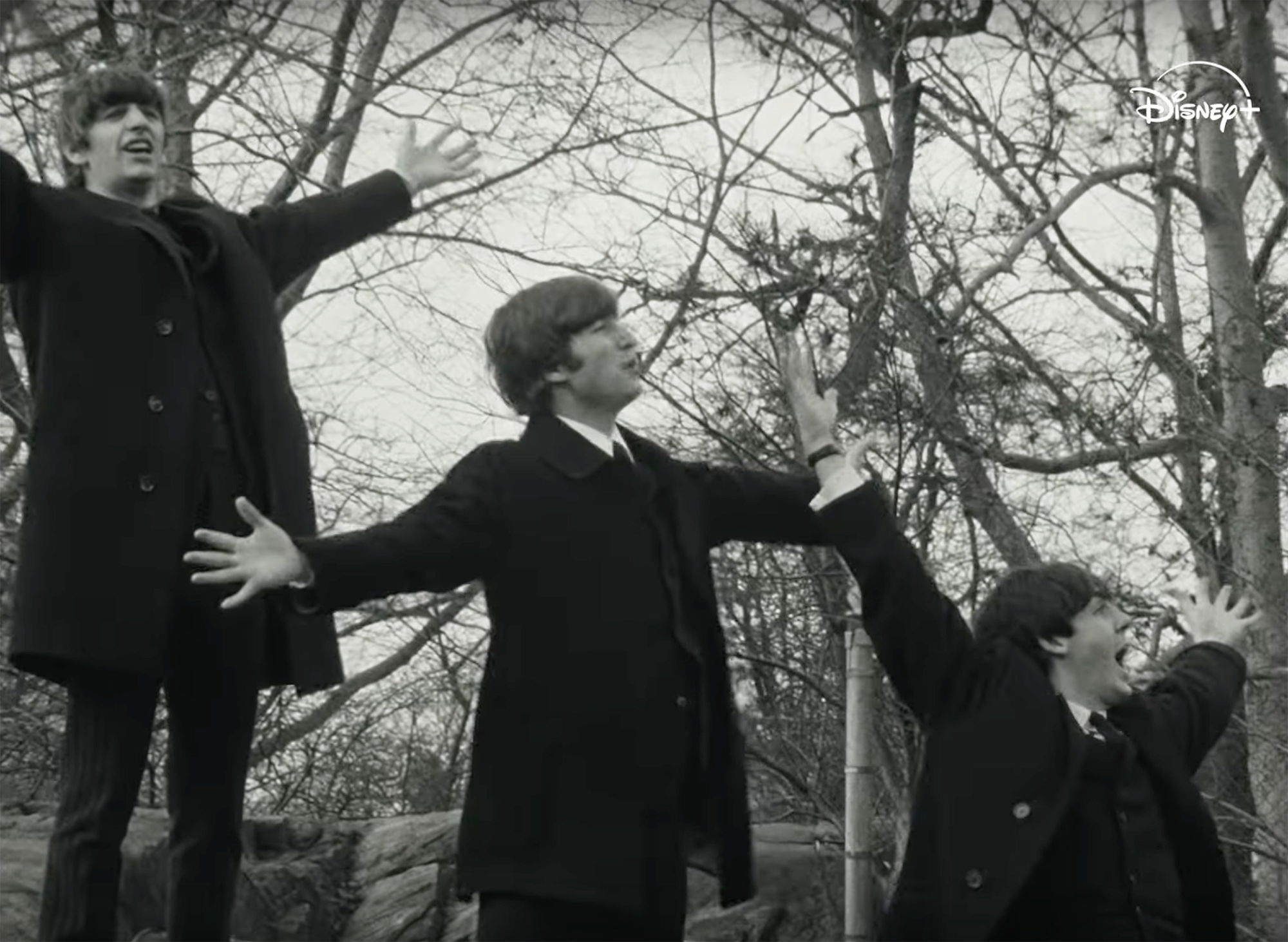 Beatles64PosterdocbigimgTW2.jpg