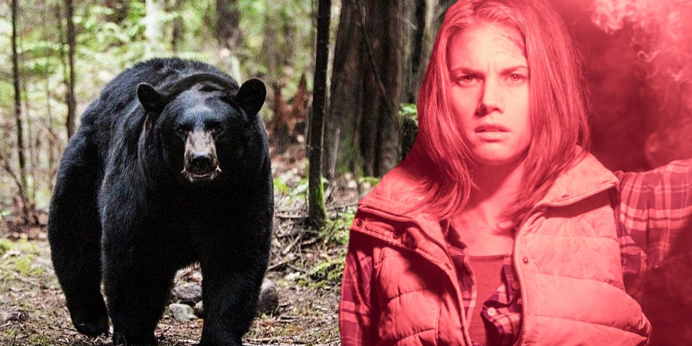 Backcountry Movie: Exploring the True Story Inspiration