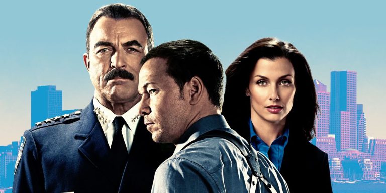 this-is-the-blue-bloods-spin-off-i-want-to-see-most.jpg