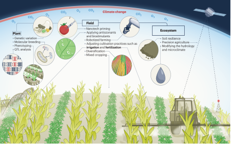 Common Problems with Agricultural Film and How to Fix Them