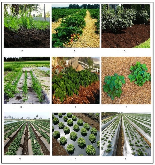 Common Problems with Agricultural Film and How to Fix Them