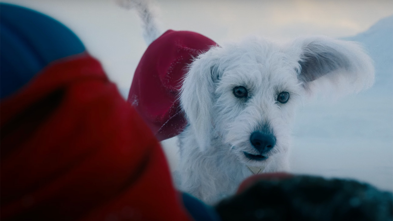 A Brief History of Superdog Krypto: From Comics to Cinema