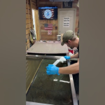Is Realtree Hydrographic Film Durable? (Get the Real Facts on Camo Dip Longevity)