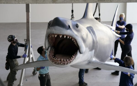 Score Awesome Jaws Movie Merchandise Before Theyre Gone