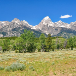 Jackson Hole WY Movie Theater: Your Complete Movie Guide