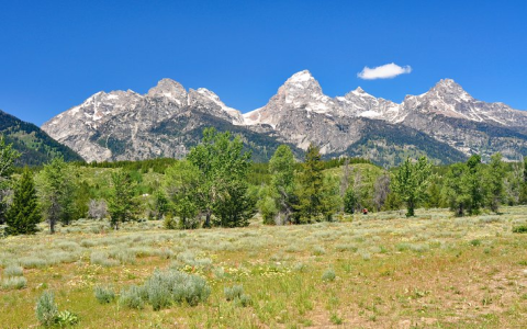 Jackson Hole WY Movie Theater: Your Complete Movie Guide