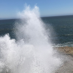 Santa Cruz Drive In Movie Theater Guide: Everything You Need to Know to Go