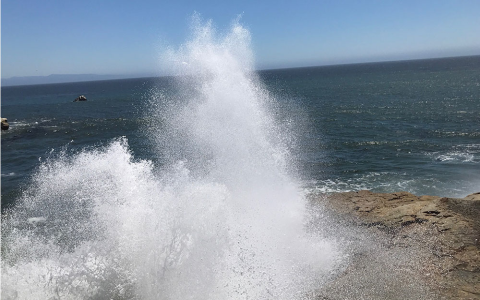 Santa Cruz Drive In Movie Theater Guide: Everything You Need to Know to Go