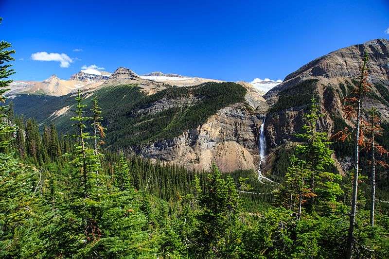 Unveiling the Last of the Dogmen Movie Location: A Journey Through Montana