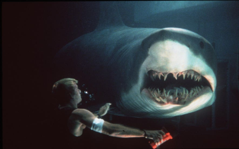 Best Movies Like The Circle: Our Top Picks for Suspenseful Tech Films