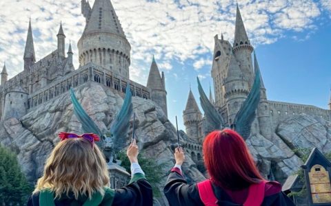 Harry Potter Movie Props for Sale: Get Your Own Piece of Magic!