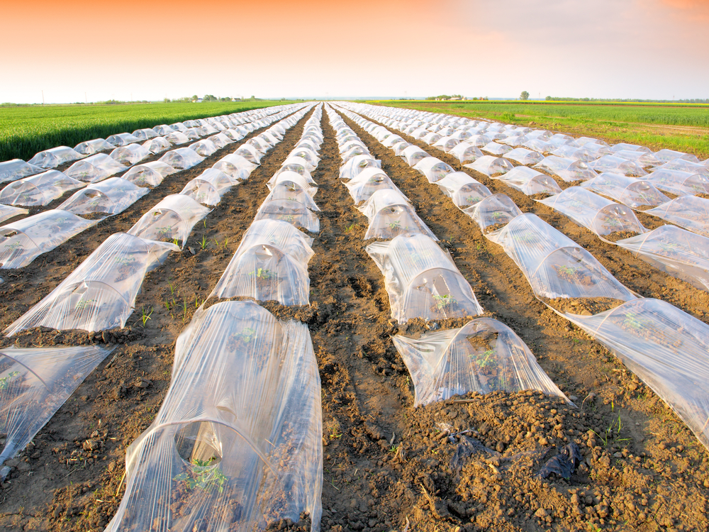 Common Problems with Agricultural Film and How to Fix Them