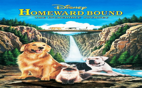 Journey Beyond An American Tail: Films with Similar Themes