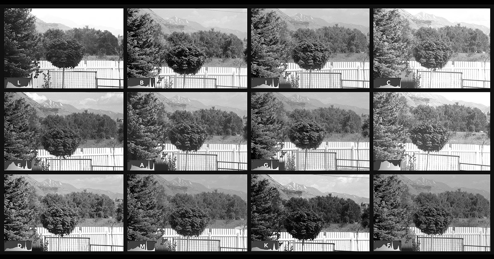 What is the Best Black and White 35mm Film? A Photographers Guide