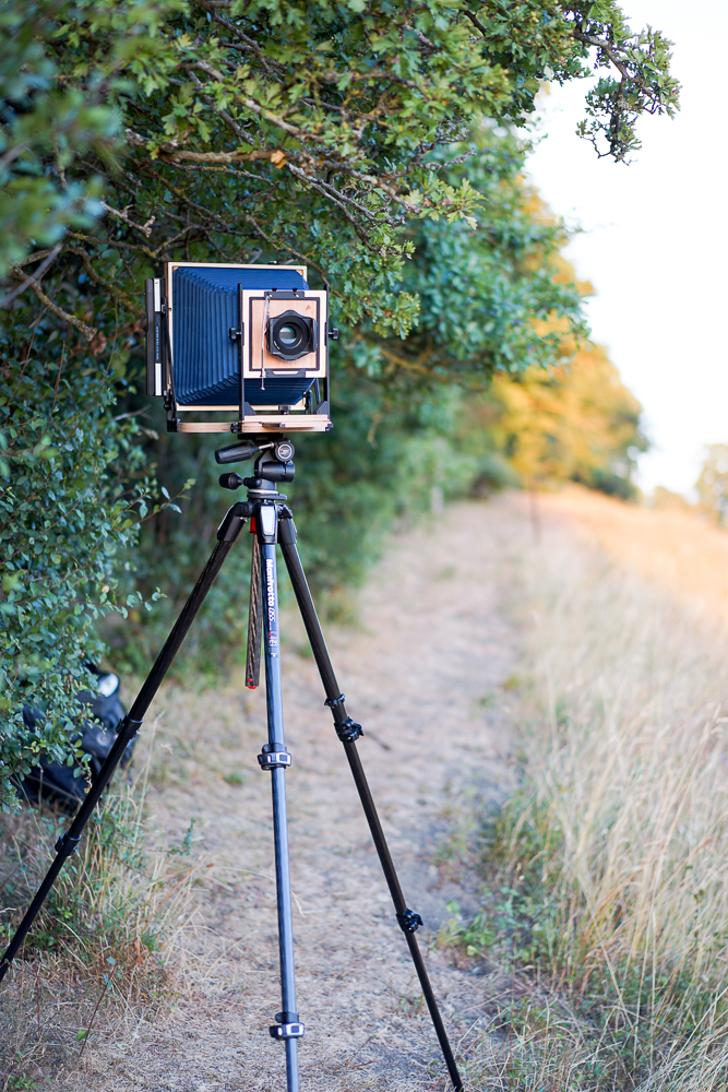 8x10 Camera Film: Exploring Creative Large Format Photography