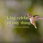 everylittlethingDocposterbigTW1.jpg
