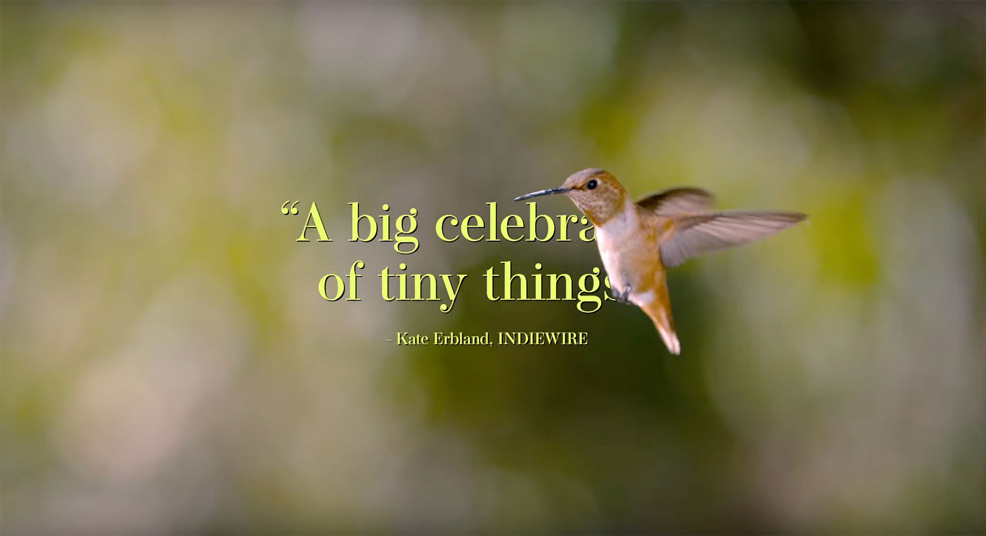 everylittlethingDocposterbigTW1.jpg