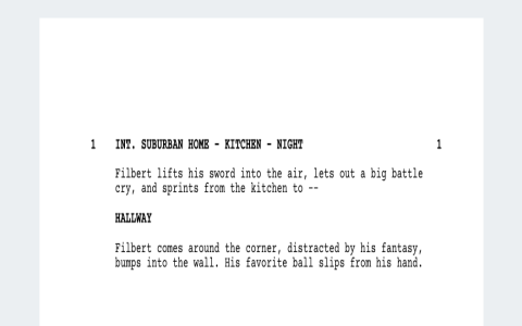 hindi film screenplay examples(learn from the best movies)