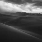 What is the Best Black and White 35mm Film? A Photographers Guide