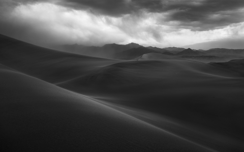 What is the Best Black and White 35mm Film? A Photographers Guide