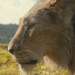taka-mufasa.jpg