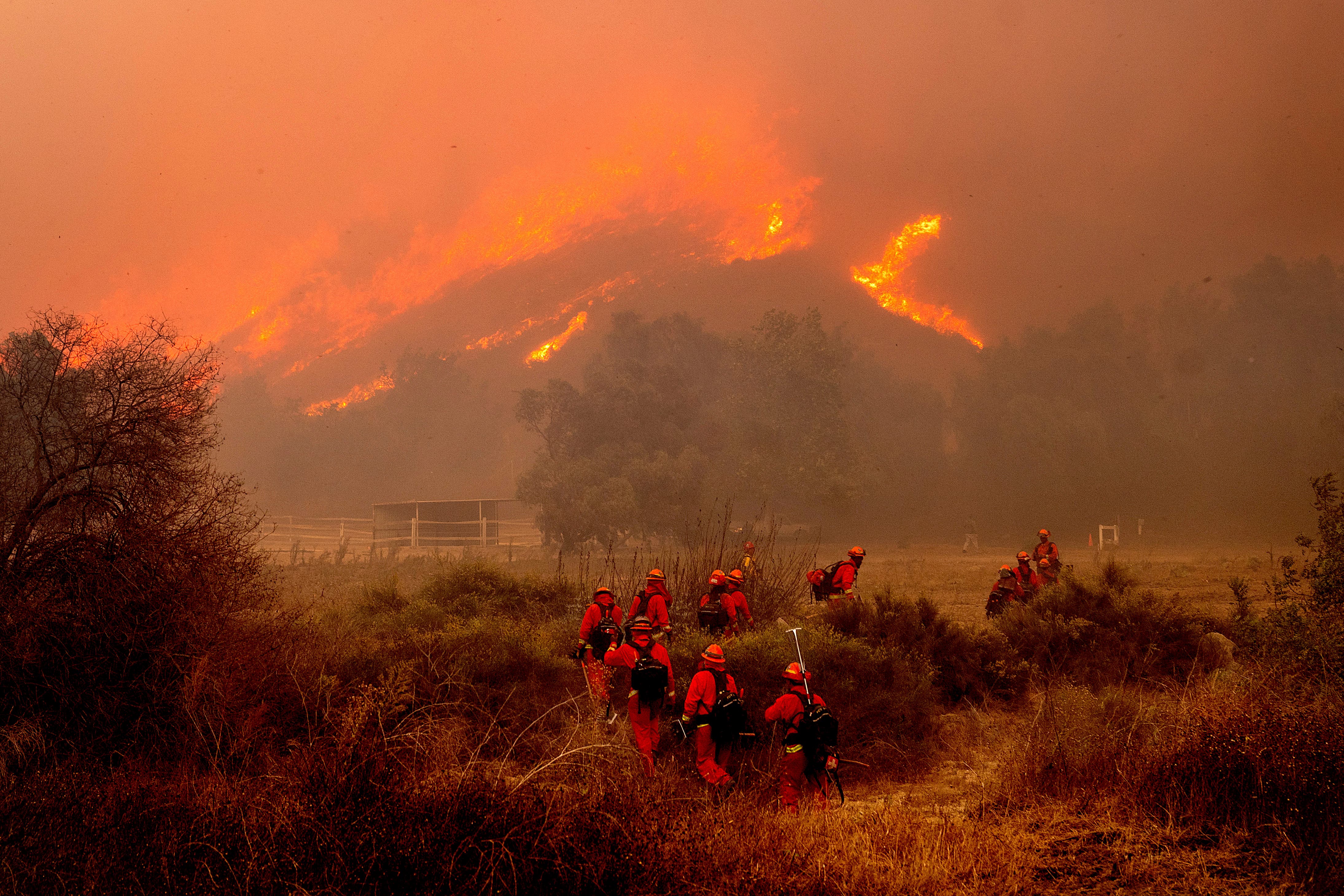 How the 2025 Oscars Should Look Amid the L.A. Wildfires: Suggestions