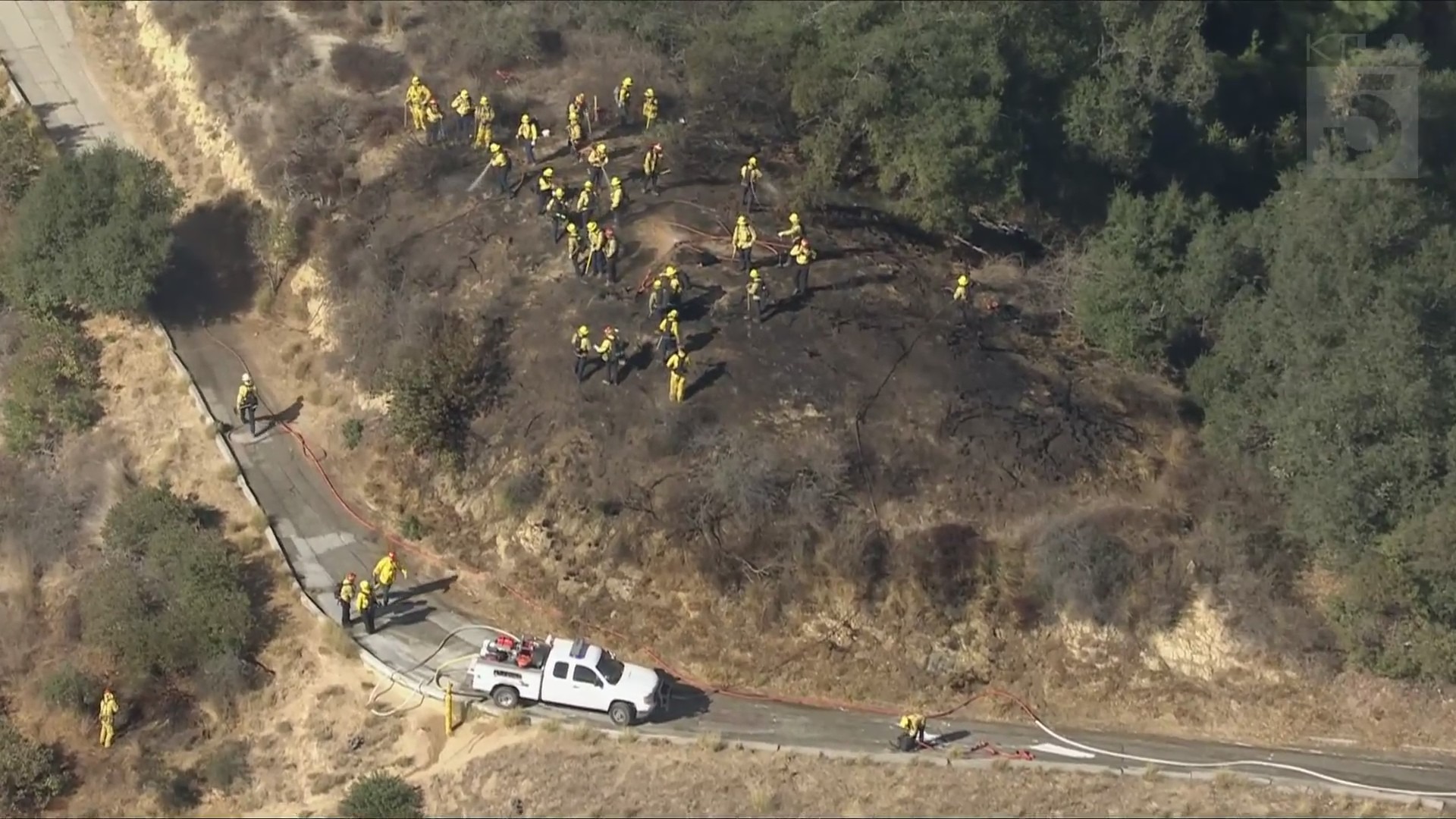 Fire Breaks Out in Griffith Park in Los Angeles
