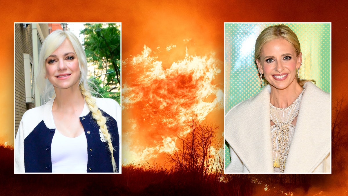 Hollywood Stars Who Have Lost Homes in Los Angeles Fires
