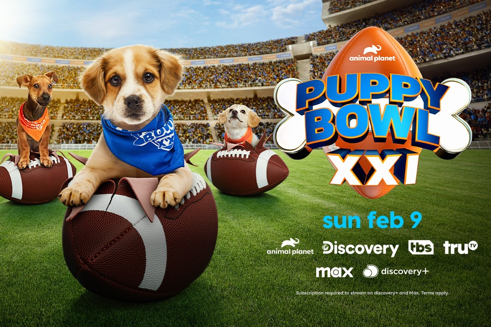 Puppy Bowl Will Include Superman Sneak Preview From James Gunn and Dog