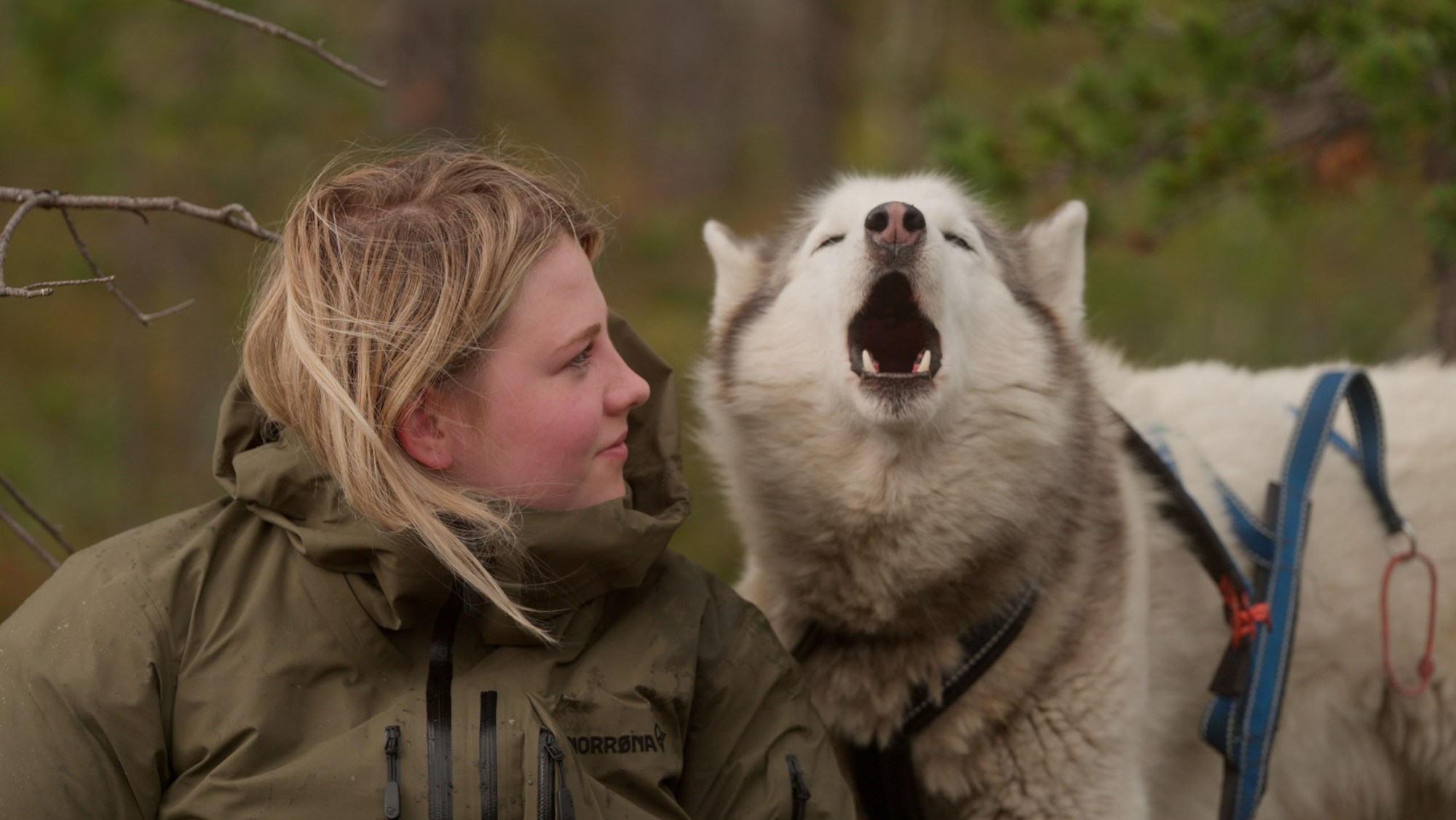 Sweet Doc About a Norwegian "Folk School"