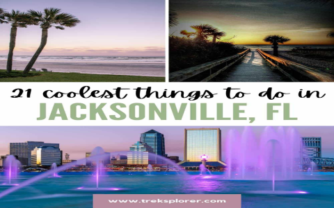 Where to Find Drive-In Movie Theaters in Jacksonville, Florida – Your Ultimate Guide Now