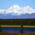 GettyImages-486179460-1.jpg