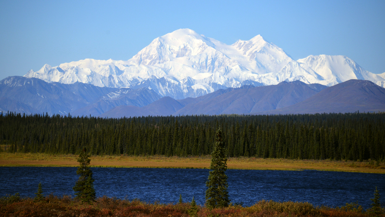 GettyImages-486179460-1.jpg