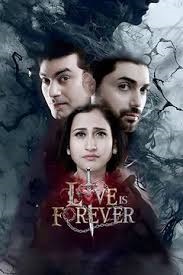 Love20is20Forever2C20poster.jpeg