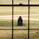 ThewomanintheYardpostermainTW1.jpg