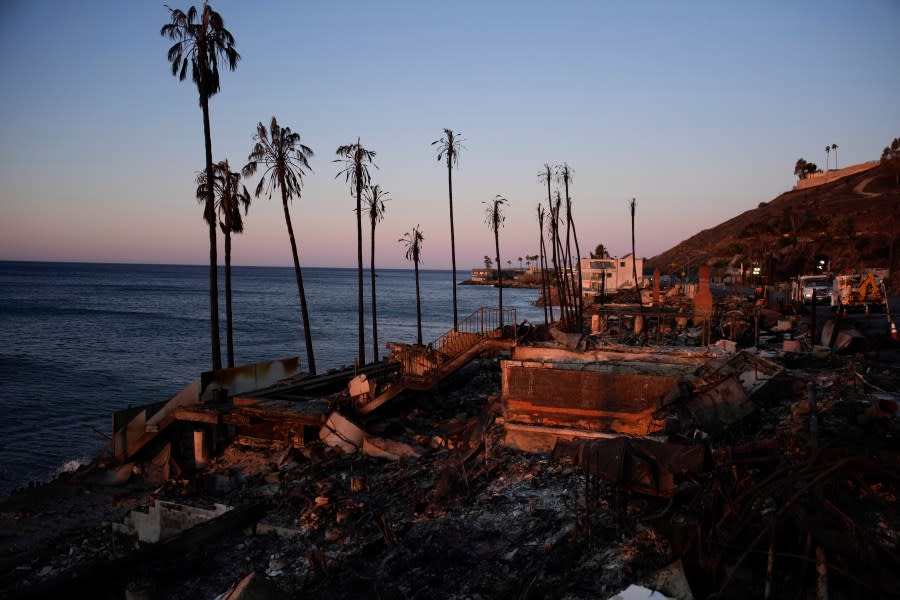 How the 2025 Oscars Should Look Amid the L.A. Wildfires: Suggestions