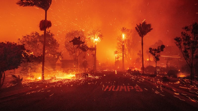 Los Angeles Wildfires: How to Help