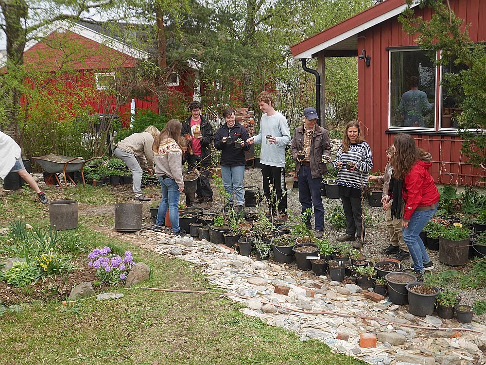 Sweet Doc About a Norwegian "Folk School"
