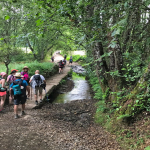 Best films about the camino de santiago: Your movie guide to the way!