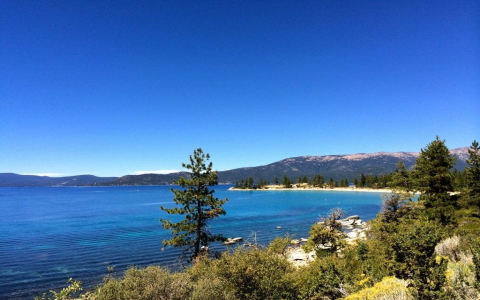 Your Guide to Lake Tahoe Movie Theatres: Check Out These Local Spots for All the Latest Releases