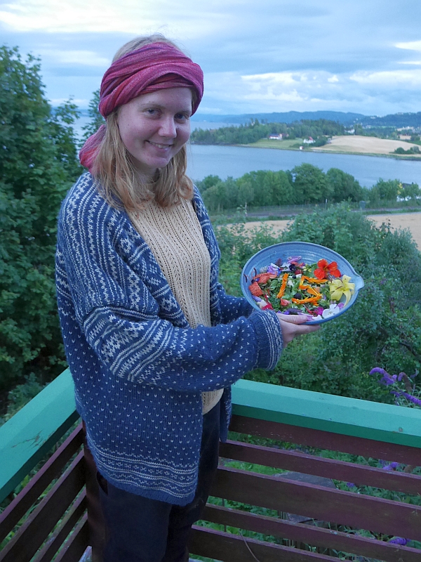 Sweet Doc About a Norwegian "Folk School"
