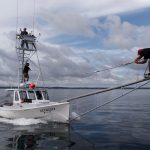 harpoon-hunters-ezyduzit-harpooning.jpg