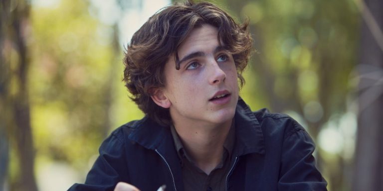 lady-bird-timothee-chalamet.jpg