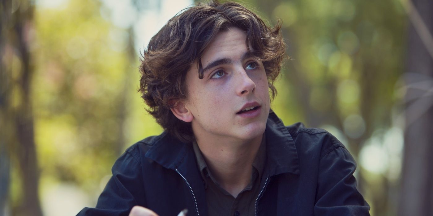 lady-bird-timothee-chalamet.jpg