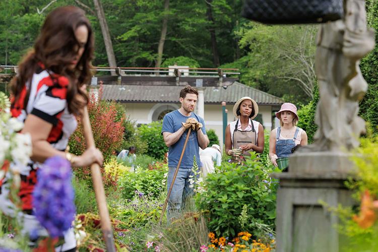 NBC's Dramedy Fails to Flower