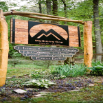 Best Glamping? Luxe Dome, Hot Tub, Outdoor Movie Theater & More.