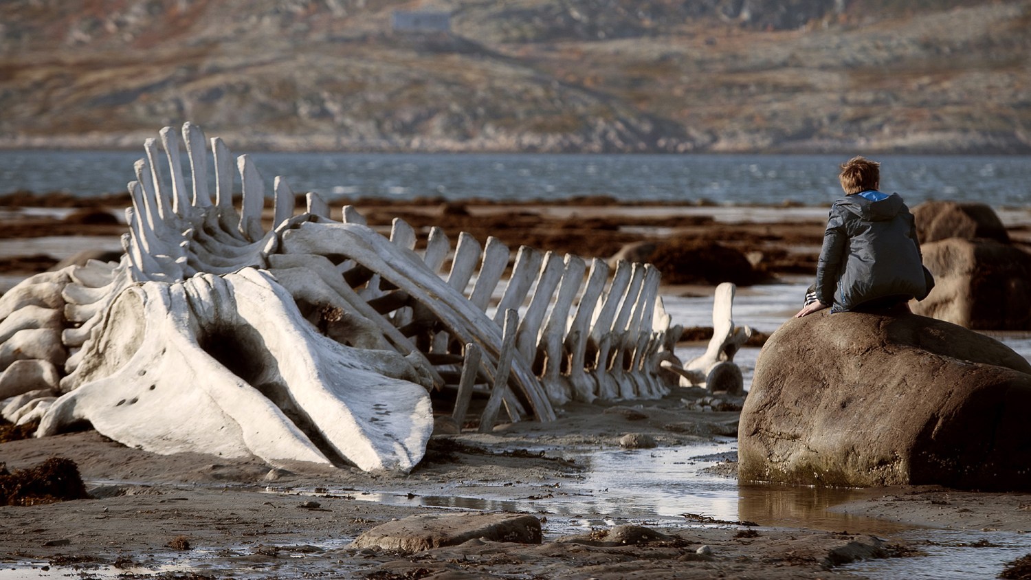 'Leviathan'